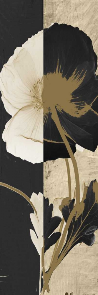 Iceland Poppy art print by Albert Koetsier for $57.95 CAD