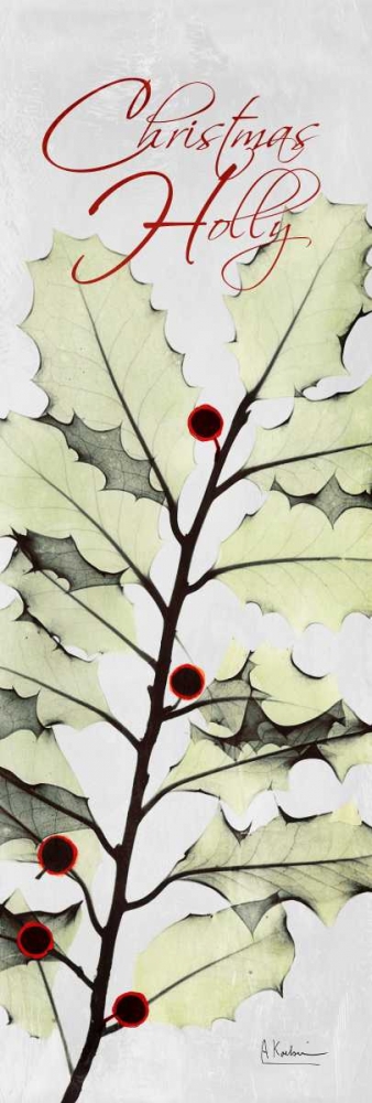 Christmas Calla Lily art print by Albert Koetsier for $57.95 CAD