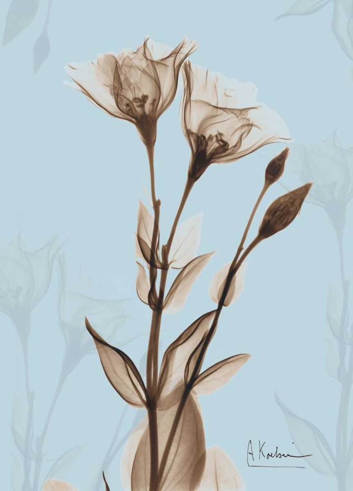 Tulips Brown on Blue art print by Albert Koetsier for $57.95 CAD