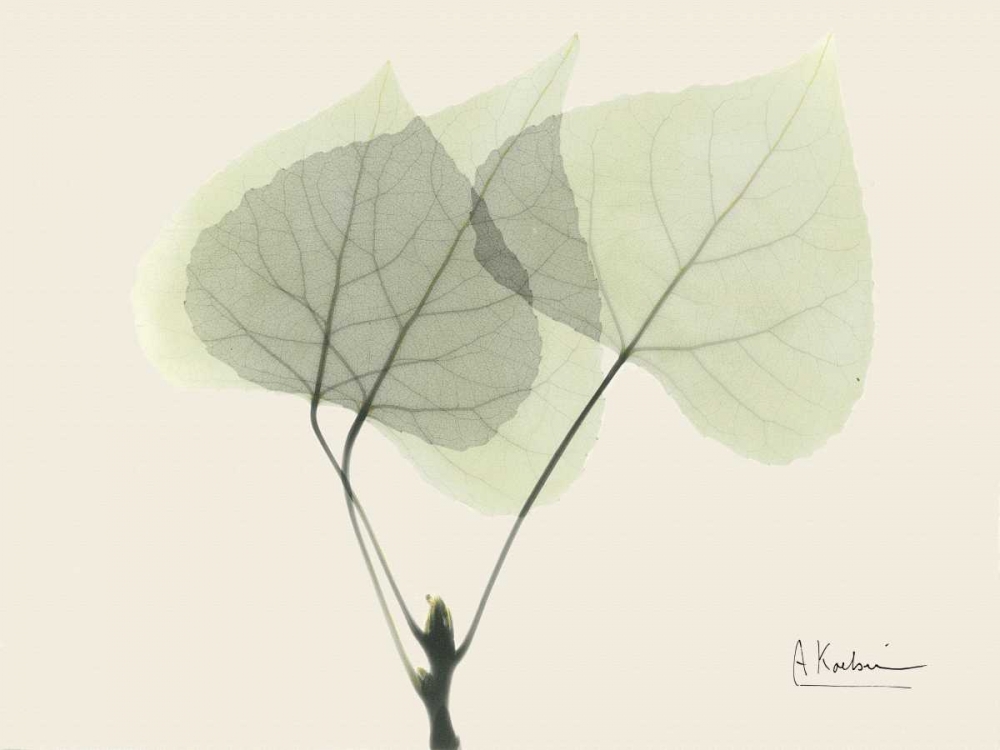 Aspen on Beige art print by Albert Koetsier for $57.95 CAD