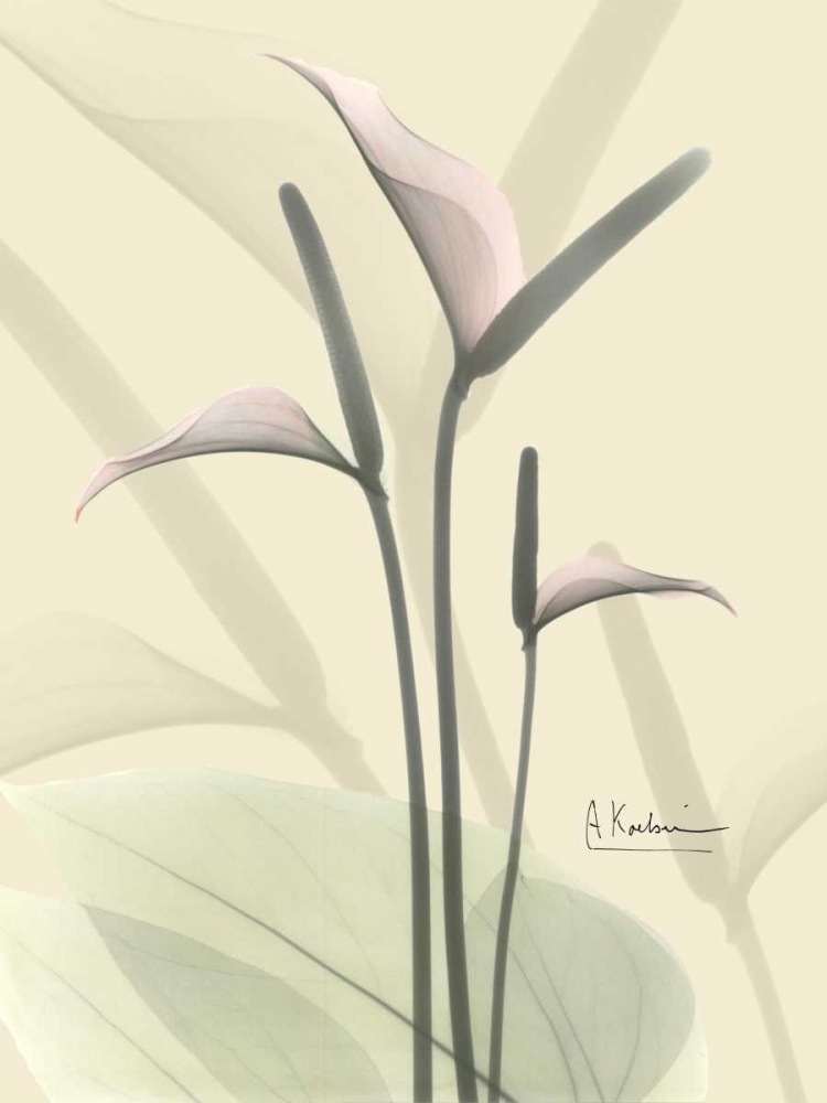 Flamingo in Color on Beige art print by Albert Koetsier for $57.95 CAD