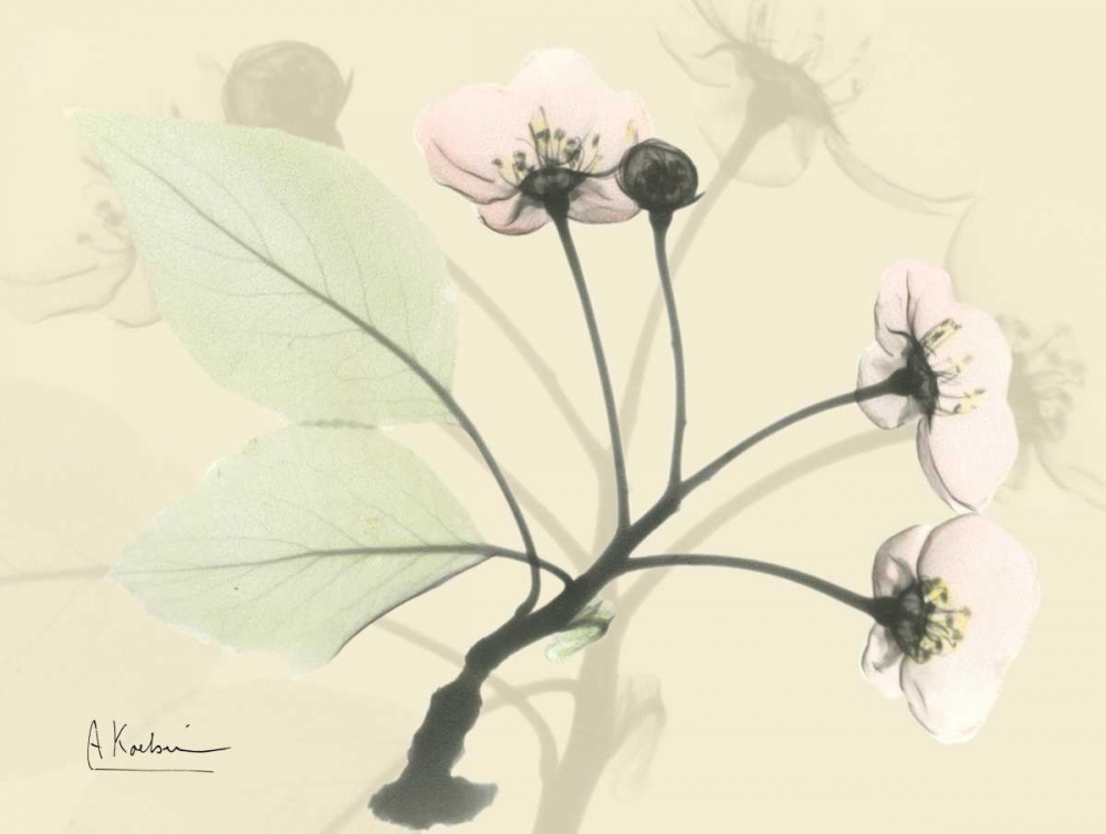 Wild Cherry on Beige art print by Albert Koetsier for $57.95 CAD