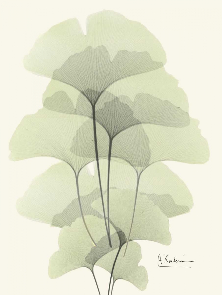Gingko Leaves in Green 2 art print by Albert Koetsier for $57.95 CAD