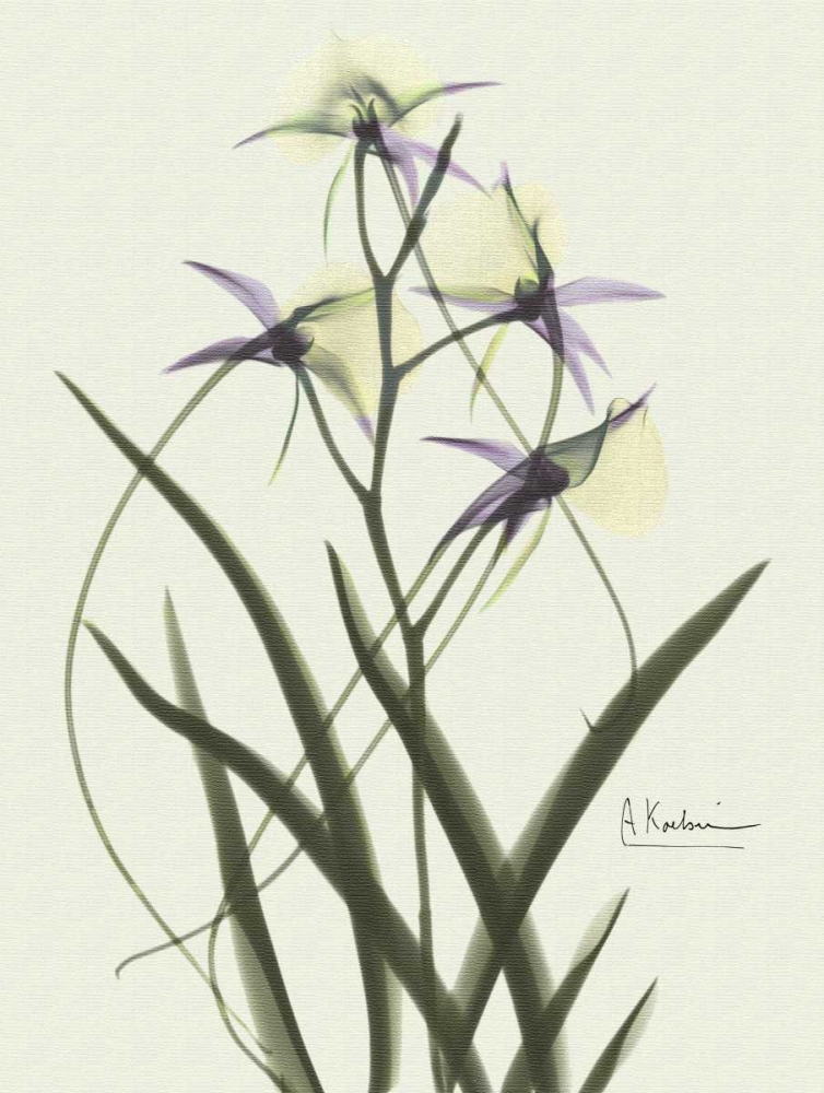 Orchids a Plenty in Purple on Beige art print by Albert Koetsier for $57.95 CAD