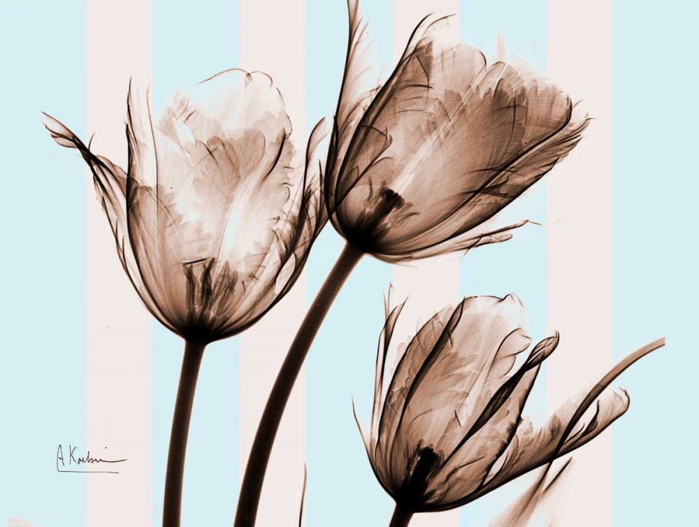 Tulips Brown on Blue art print by Albert Koetsier for $57.95 CAD