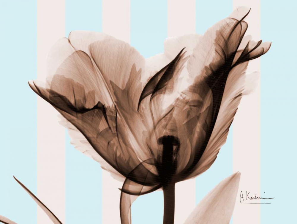 Single Tulip Brown on Blue art print by Albert Koetsier for $57.95 CAD