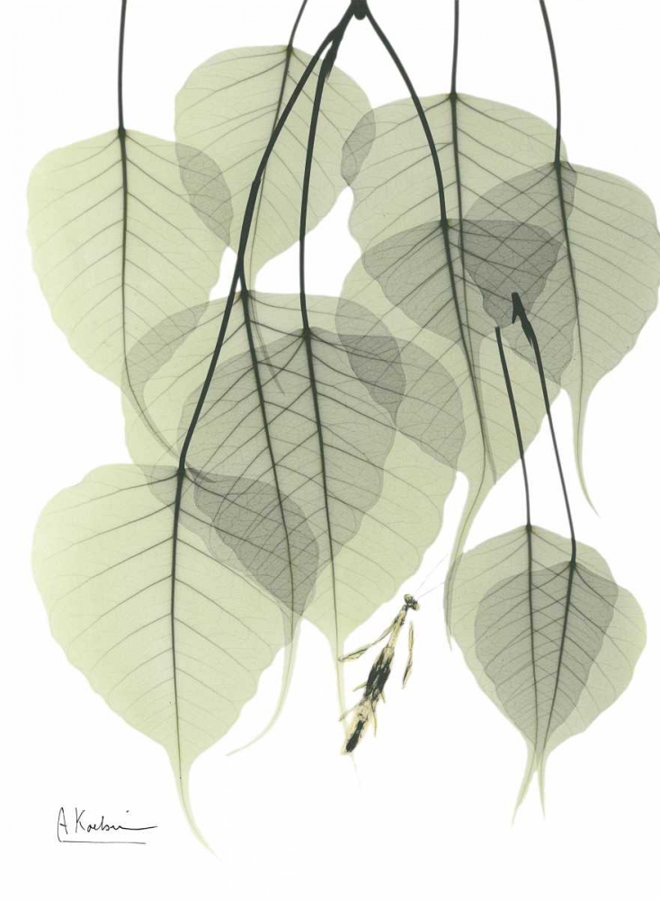 Bo Tree_L264 art print by Albert Koetsier for $57.95 CAD