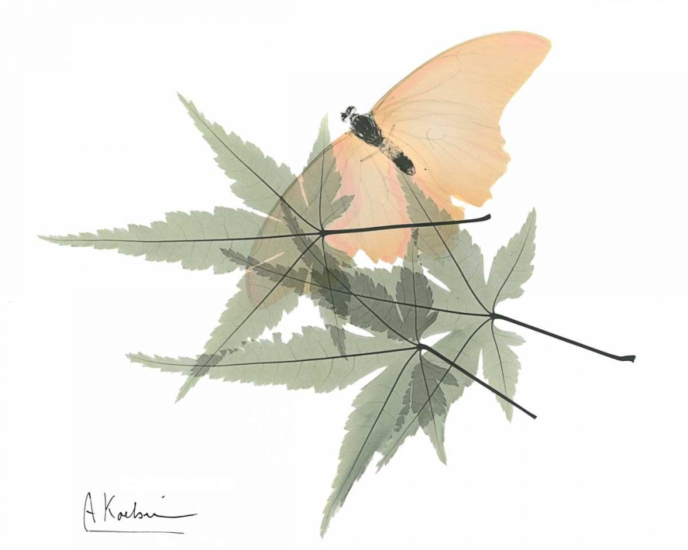 Gentle Explosion of Spring art print by Albert Koetsier for $57.95 CAD
