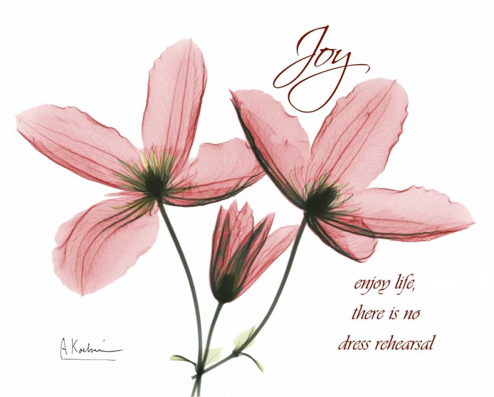 Clematis - Joy art print by Albert Koetsier for $57.95 CAD