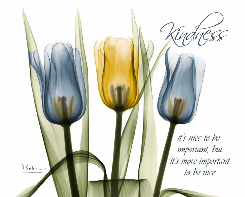 Tulip - Kindness art print by Albert Koetsier for $57.95 CAD