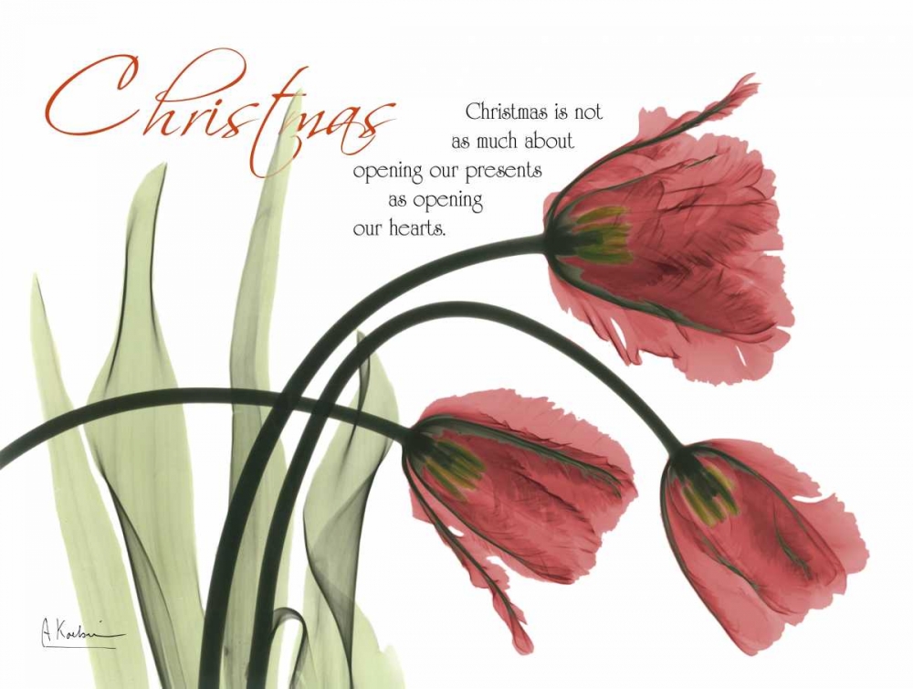 Christmas Tulips art print by Albert Koetsier for $57.95 CAD