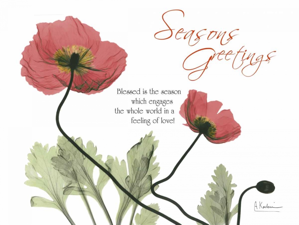 Iceland Poppies Seasons art print by Albert Koetsier for $57.95 CAD