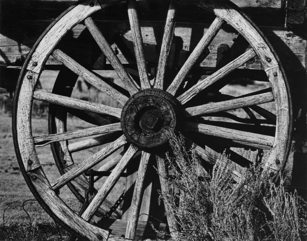 Bodi Wheel art print by Albert Koetsier for $57.95 CAD