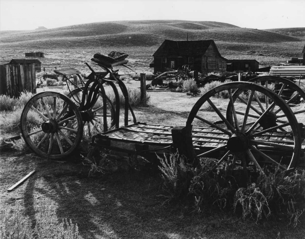 Bodi Wagon art print by Albert Koetsier for $57.95 CAD