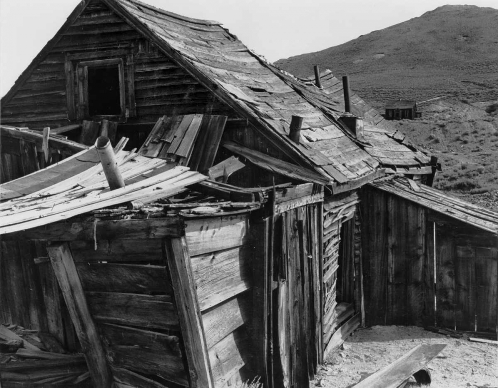 Dilapidated Bodi art print by Albert Koetsier for $57.95 CAD