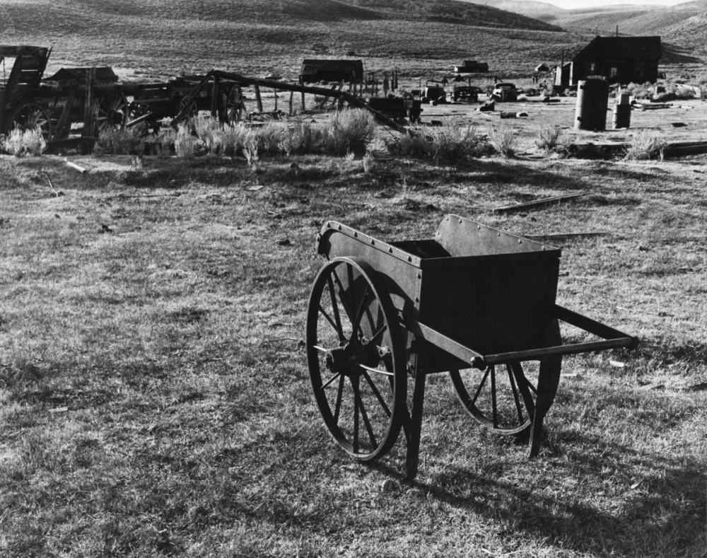 Bodi Wheelbarrow 2 art print by Albert Koetsier for $57.95 CAD