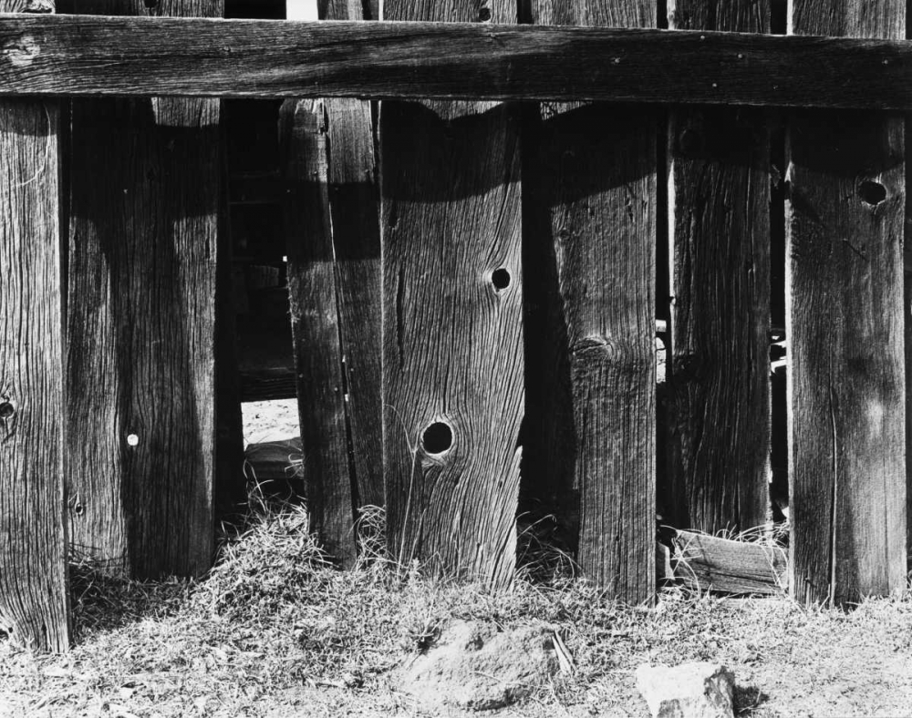Bodi Fence art print by Albert Koetsier for $57.95 CAD