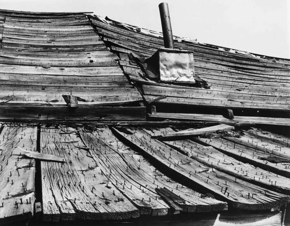 Bodi Roof art print by Albert Koetsier for $57.95 CAD