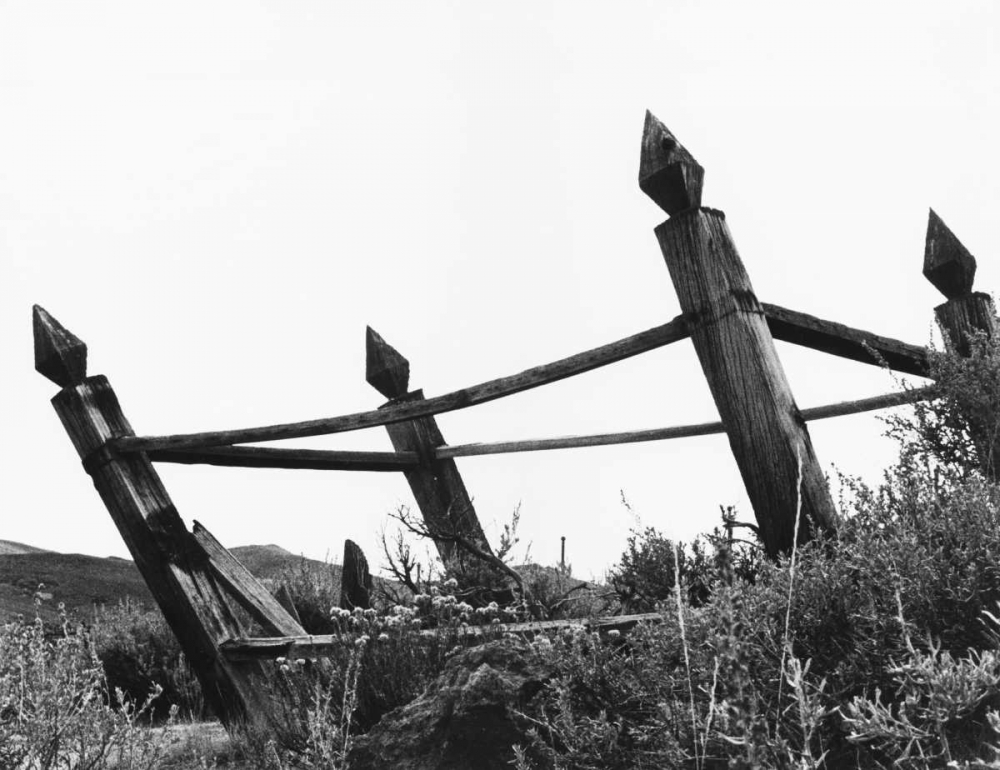 The Bodi Fence art print by Albert Koetsier for $57.95 CAD