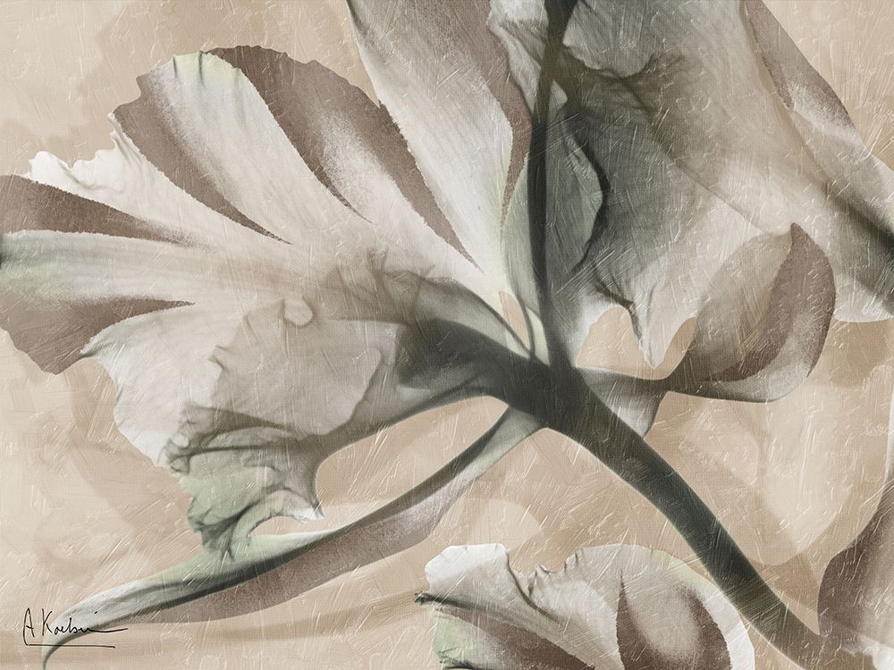 Botanical Tension 1 art print by Albert Koetsier for $57.95 CAD