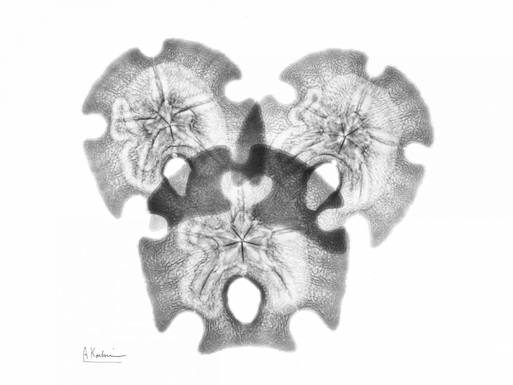Triple Stars art print by Albert Koetsier for $57.95 CAD