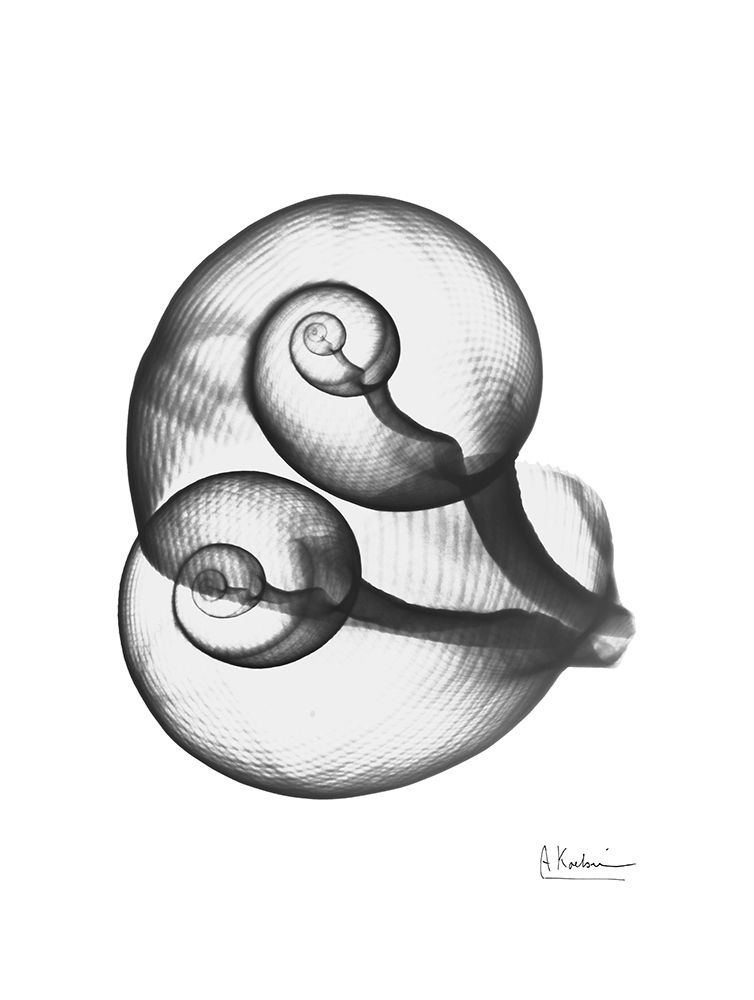Crystal 2 art print by Albert Koetsier for $57.95 CAD