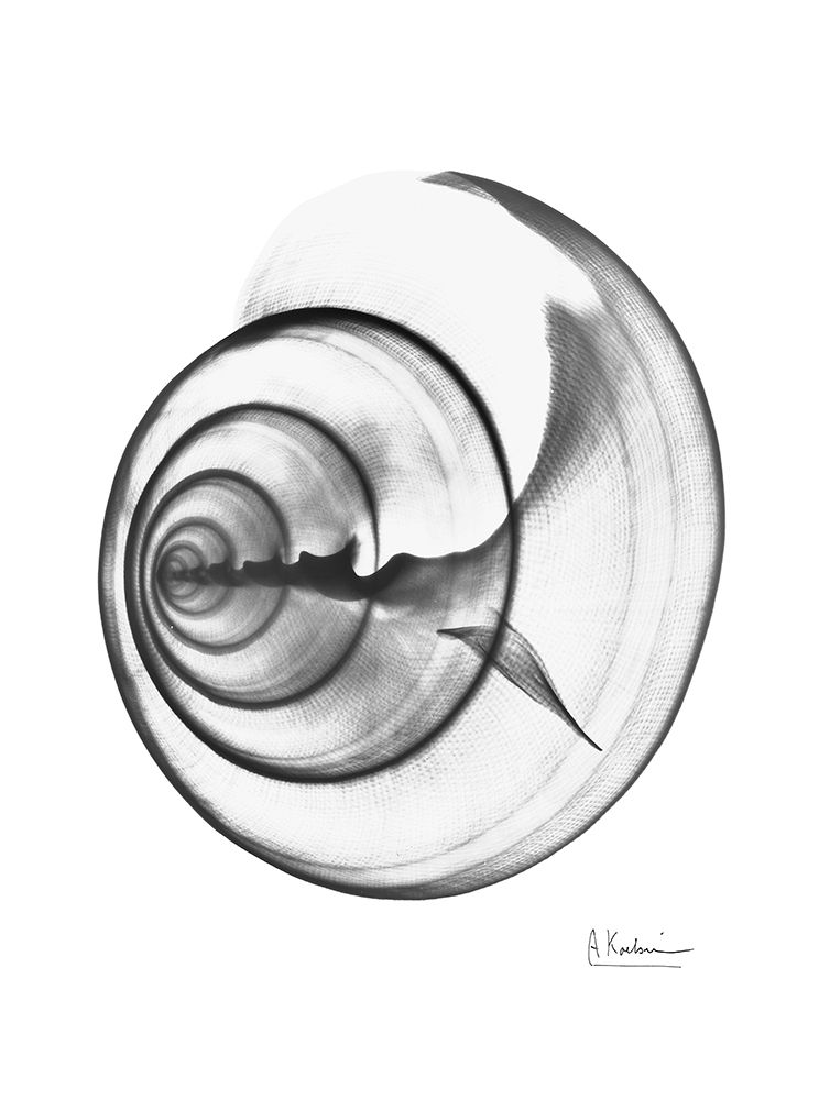 Crystal 4 art print by Albert Koetsier for $57.95 CAD