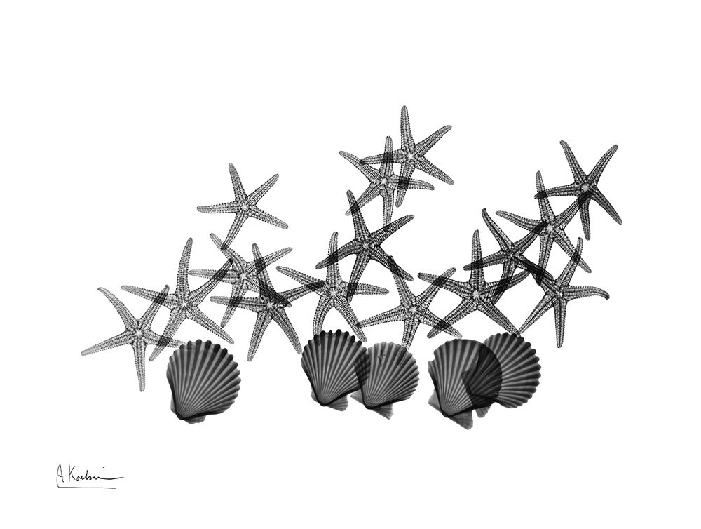 Amoung The Stars art print by Albert Koetsier for $57.95 CAD