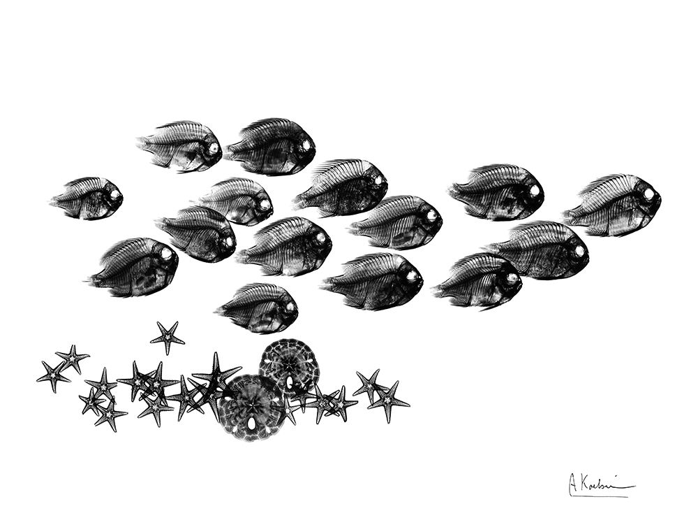 Back to School art print by Albert Koetsier for $57.95 CAD