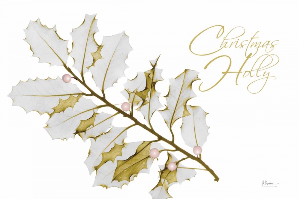 New Holly A L297 art print by Albert Koetsier for $57.95 CAD