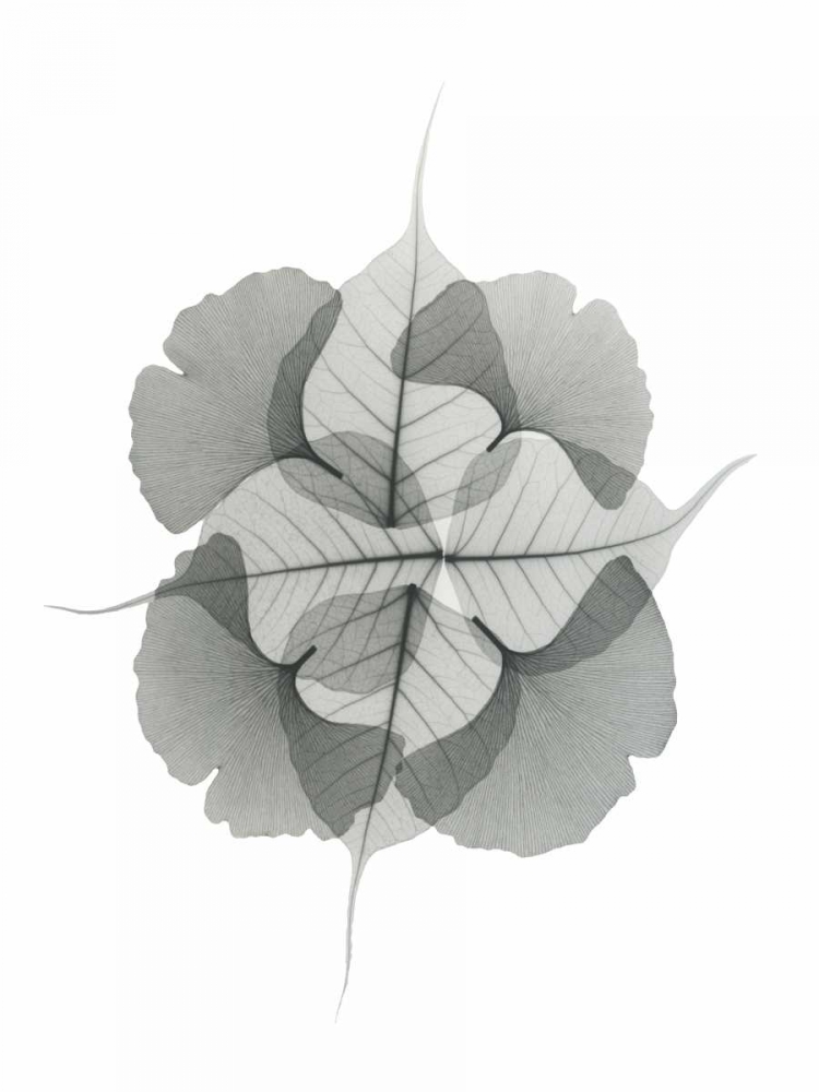 Kaleidoscope Sinko art print by Albert Koetsier for $57.95 CAD