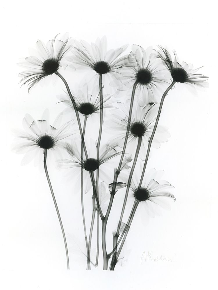 Marsharile 2 art print by Albert Koetsier for $57.95 CAD