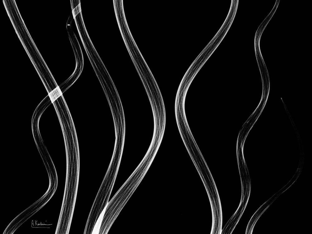 Endless Reach art print by Albert Koetsier for $57.95 CAD