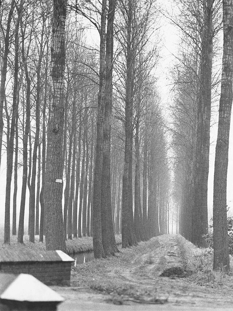 Road To Nowhere art print by Albert Koetsier for $57.95 CAD