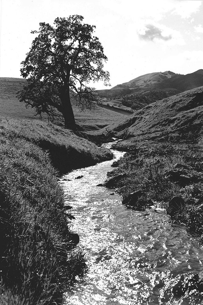 Stream Forward art print by Albert Koetsier for $57.95 CAD