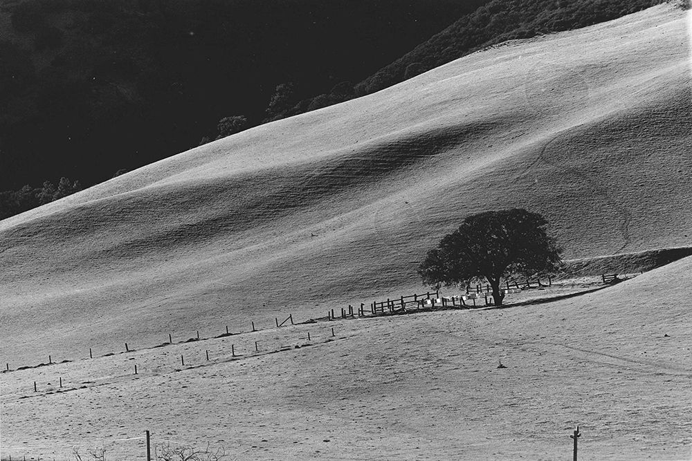 Calming Slope art print by Albert Koetsier for $57.95 CAD