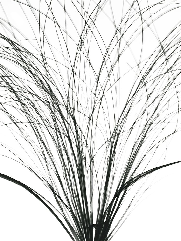 Frayed Soul art print by Albert Koetsier for $57.95 CAD