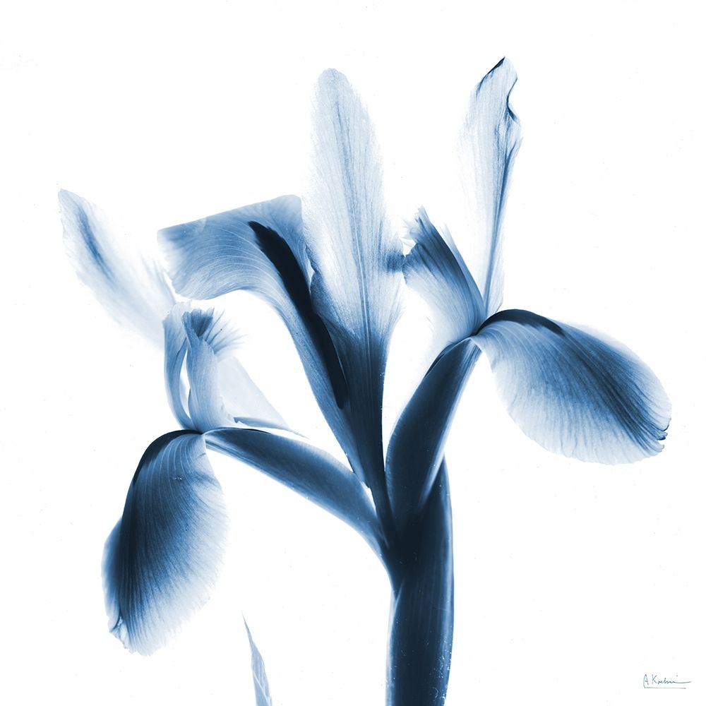 Le Flur Indigo art print by Albert Koetsier for $57.95 CAD
