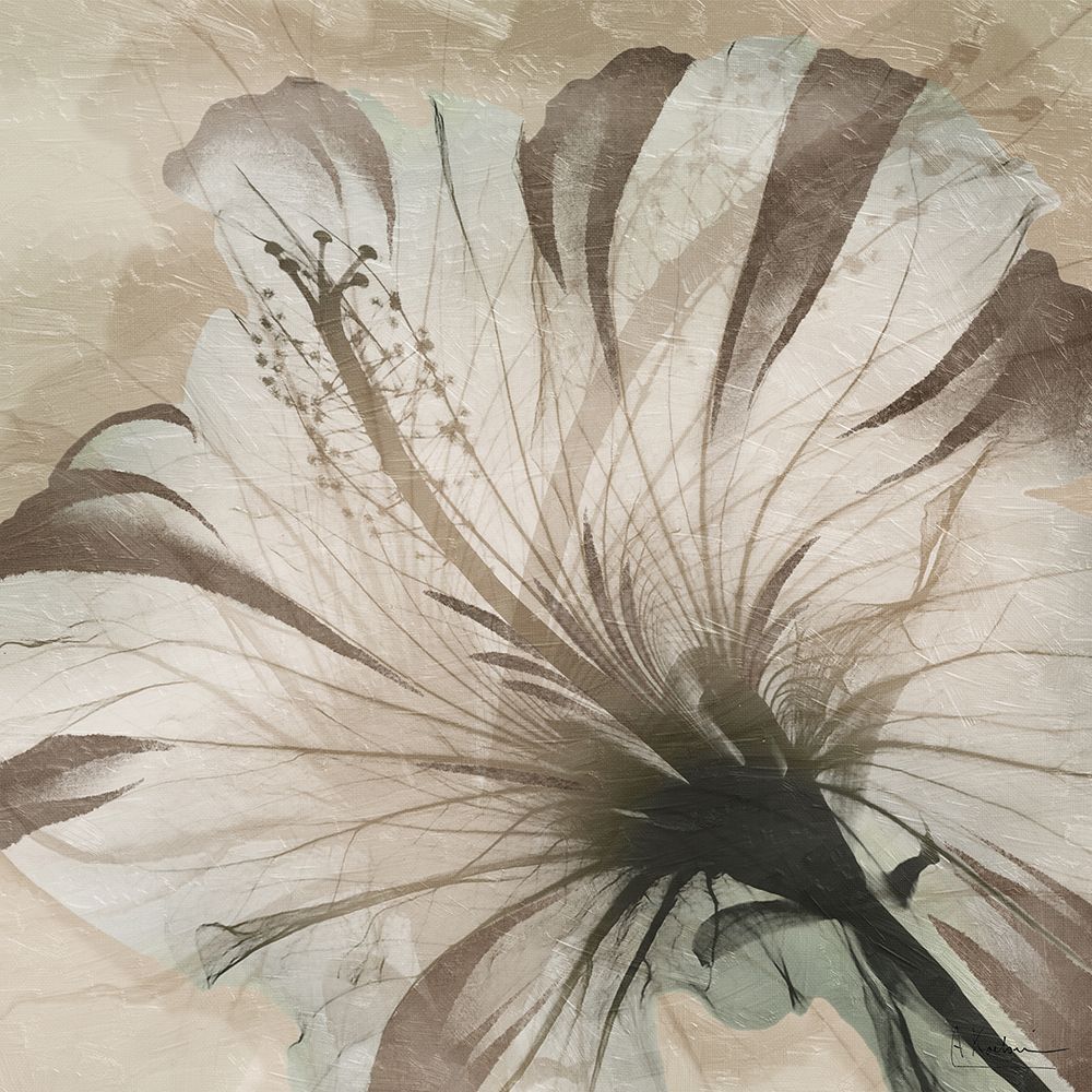Evolving Flourish 1 art print by Albert Koetsier for $57.95 CAD