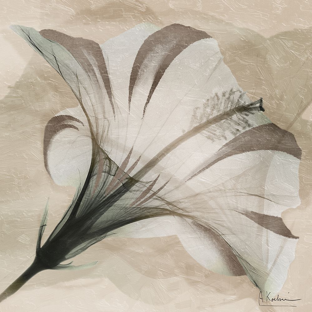 Evolving Flourish 2 art print by Albert Koetsier for $57.95 CAD