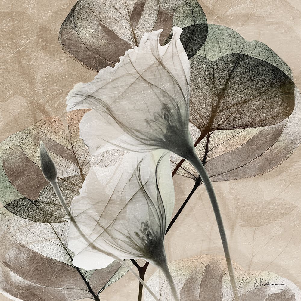 Maturing Florals 1 art print by Albert Koetsier for $57.95 CAD
