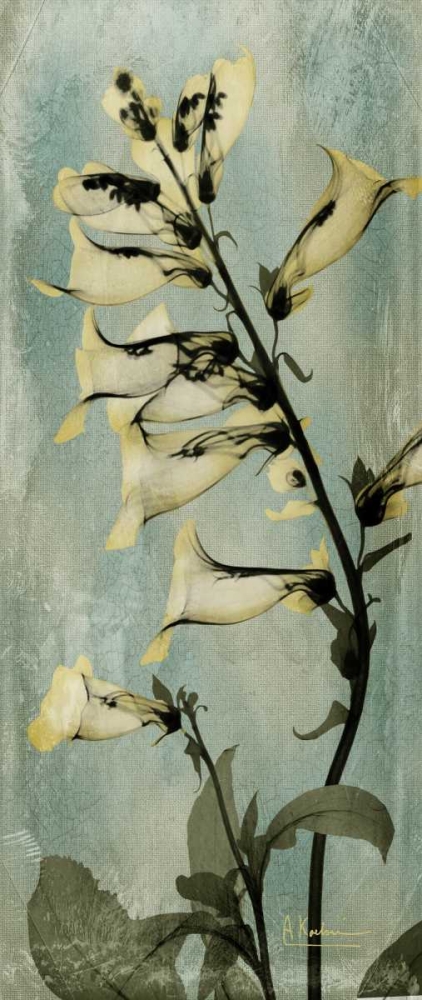 Golden Foxglove art print by Albert Koetsier for $57.95 CAD
