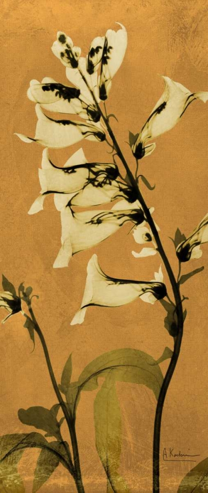 Golden Foxglove art print by Albert Koetsier for $57.95 CAD