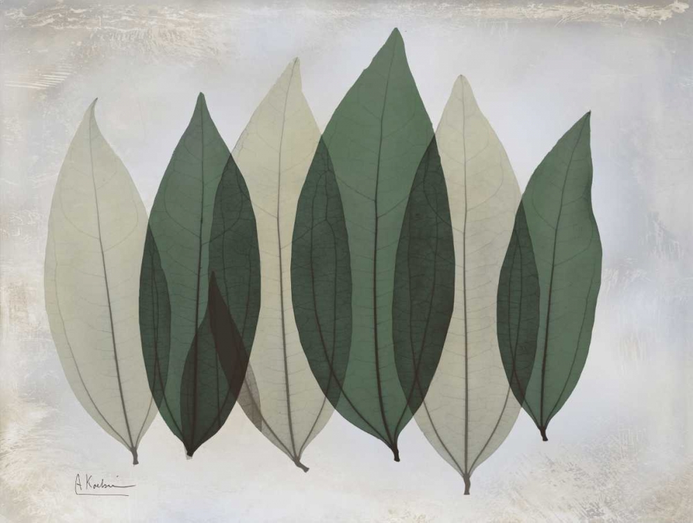 The Grays 1 art print by Albert Koetsier for $57.95 CAD
