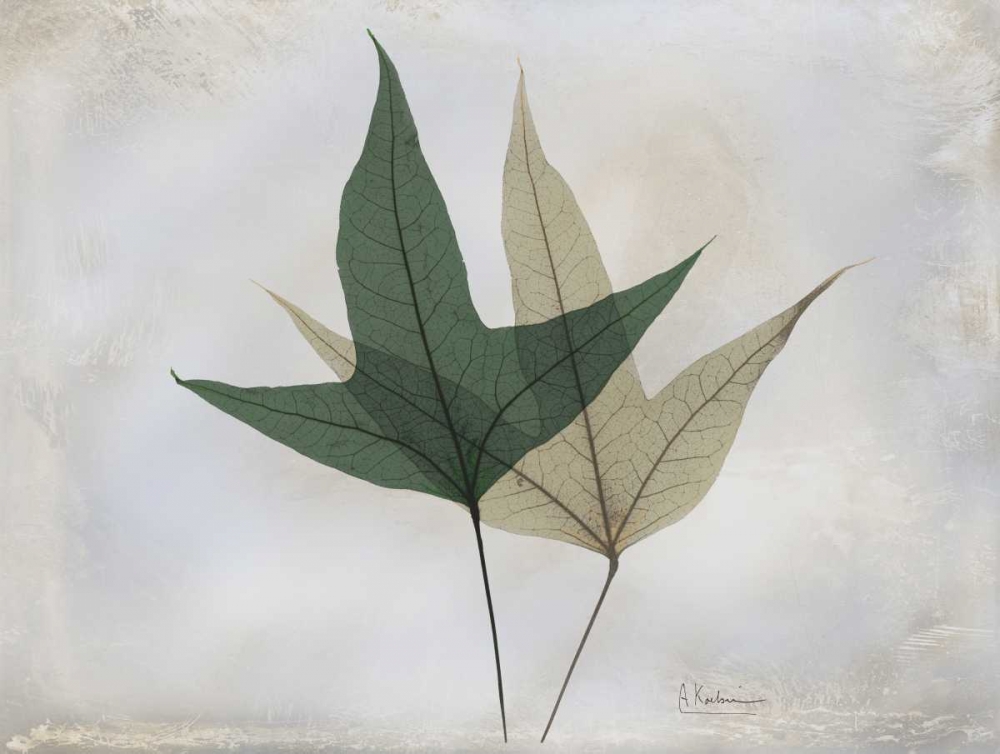 The Grays 2 art print by Albert Koetsier for $57.95 CAD
