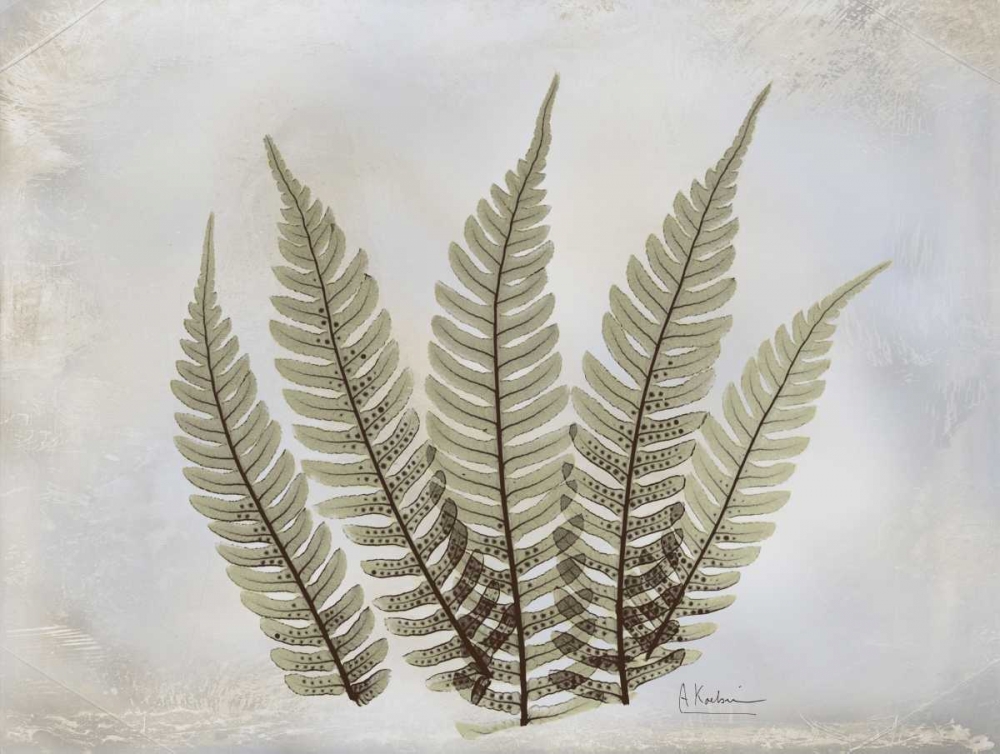 Fern art print by Albert Koetsier for $57.95 CAD