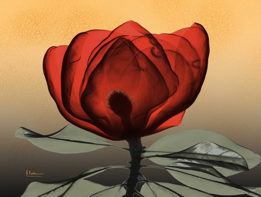 Hot Magnolia 2 art print by Albert Koetsier for $57.95 CAD