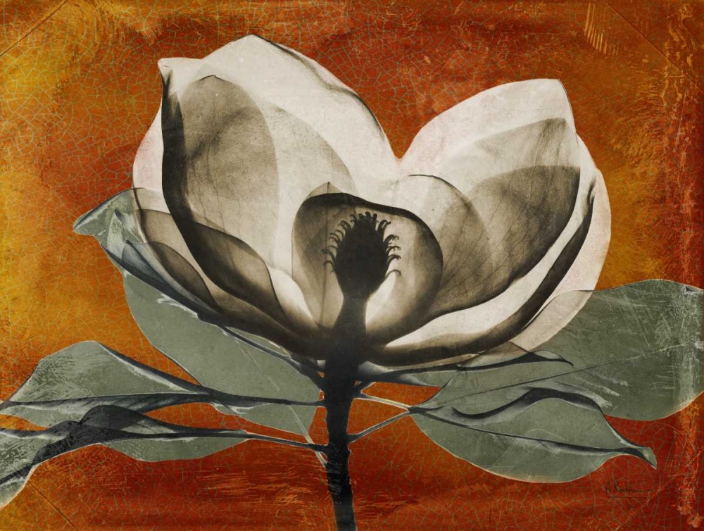 Magnolia Rust 1 art print by Albert Koetsier for $57.95 CAD