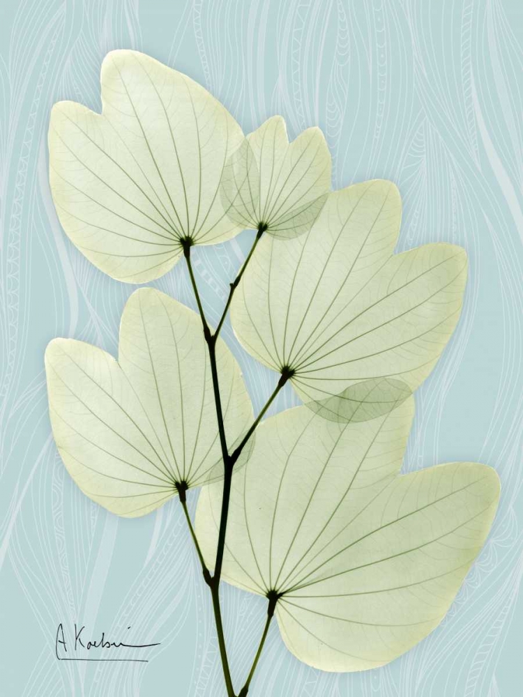 Orchid Tree L122 art print by Albert Koetsier for $57.95 CAD