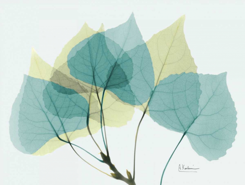 Aspen E143 art print by Albert Koetsier for $57.95 CAD